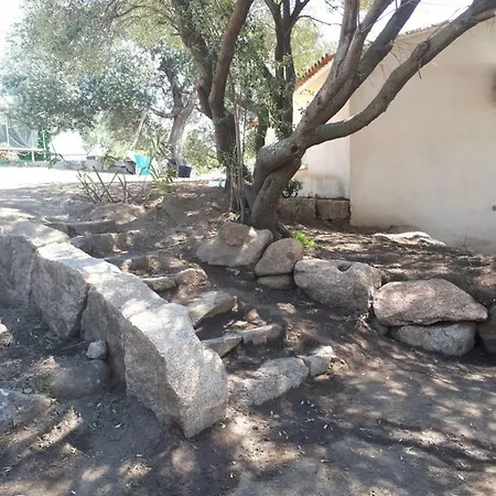 Tomasini Sabrina Zirilla