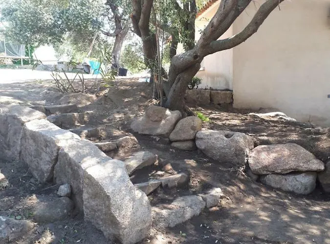 Tomasini Sabrina Zirilla